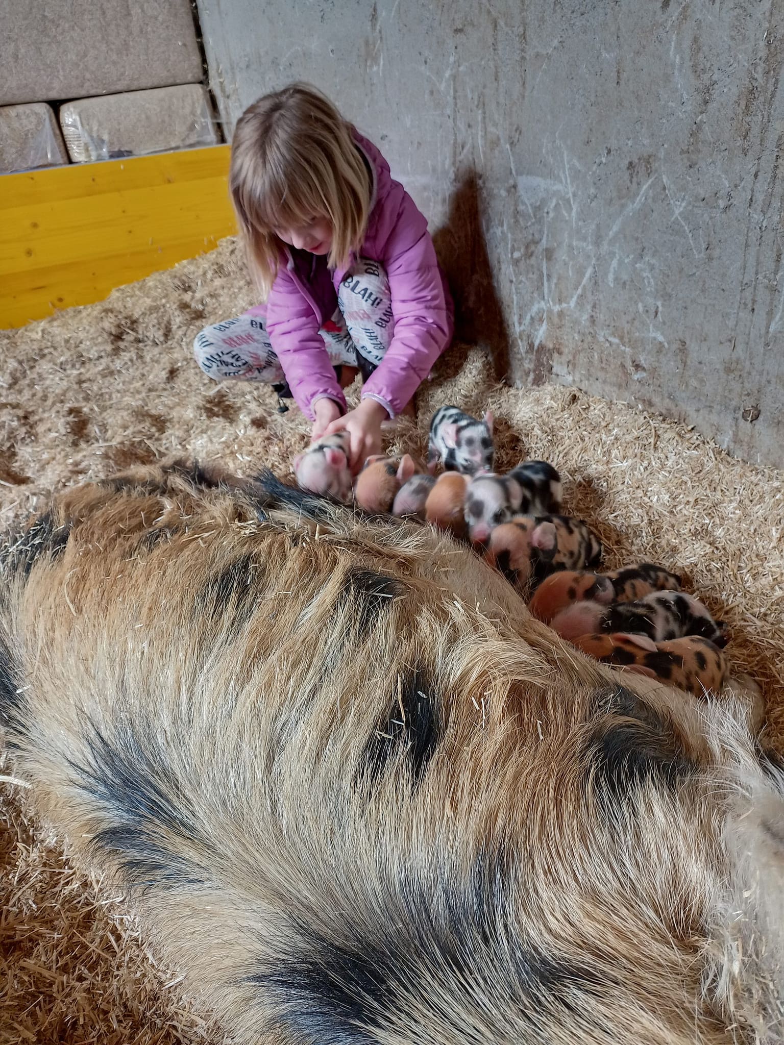 Kinder Urlaub am Bauernhof
