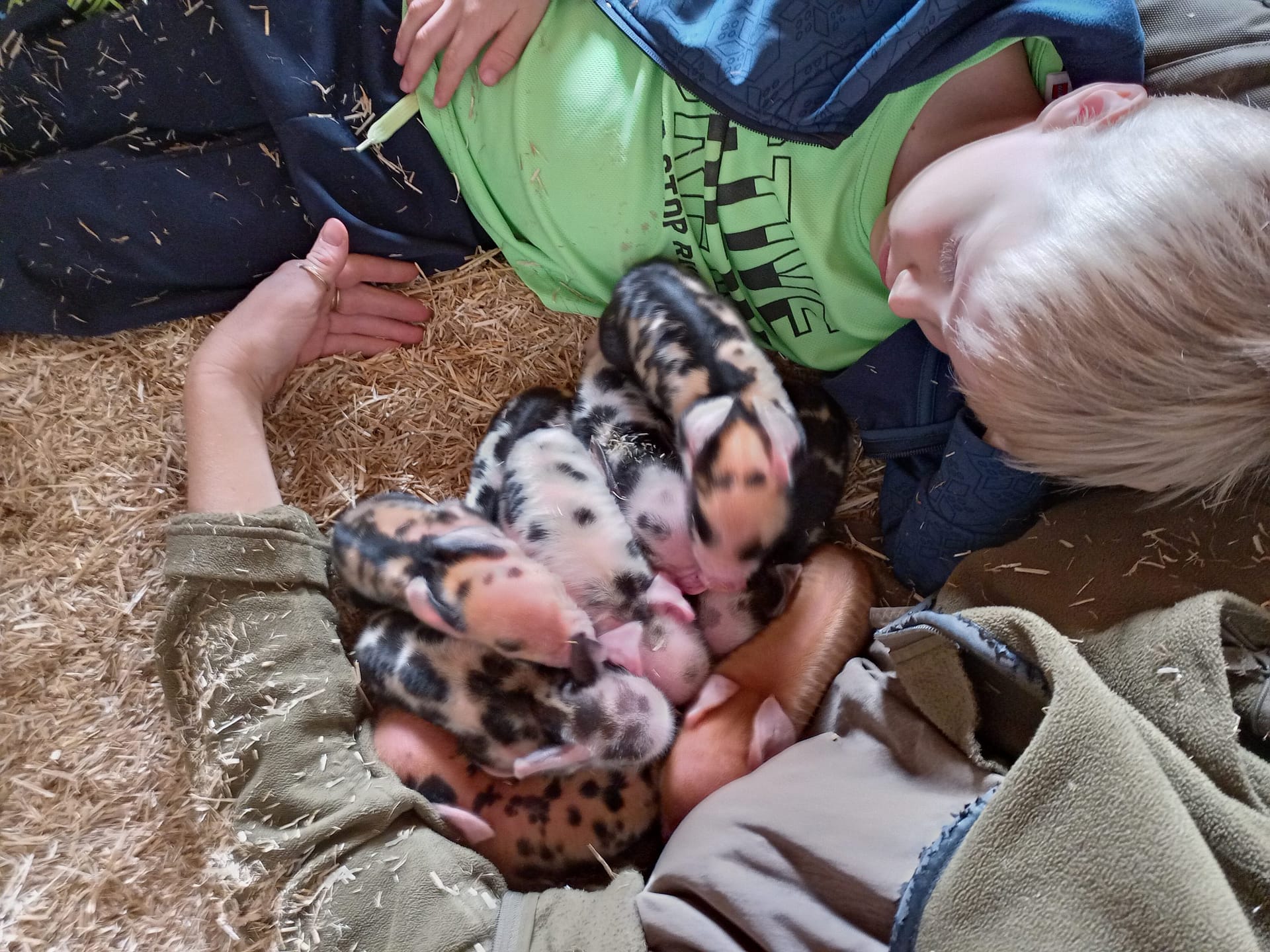 Kinder streicheln Tiere