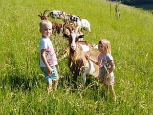Kinder streicheln Ziege
